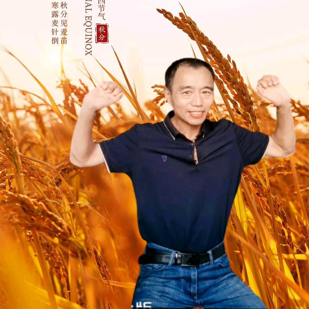 潜龙9051