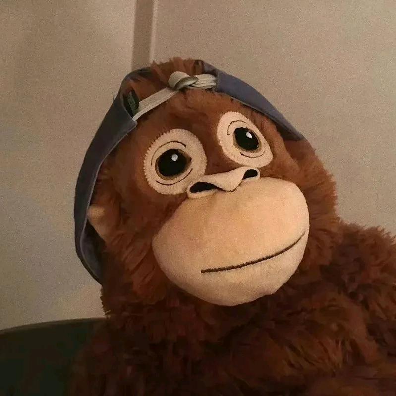 Y·