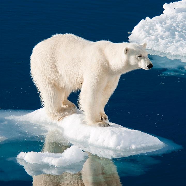 (u‿ฺu✿)随遇而安＼(`Δ’)／