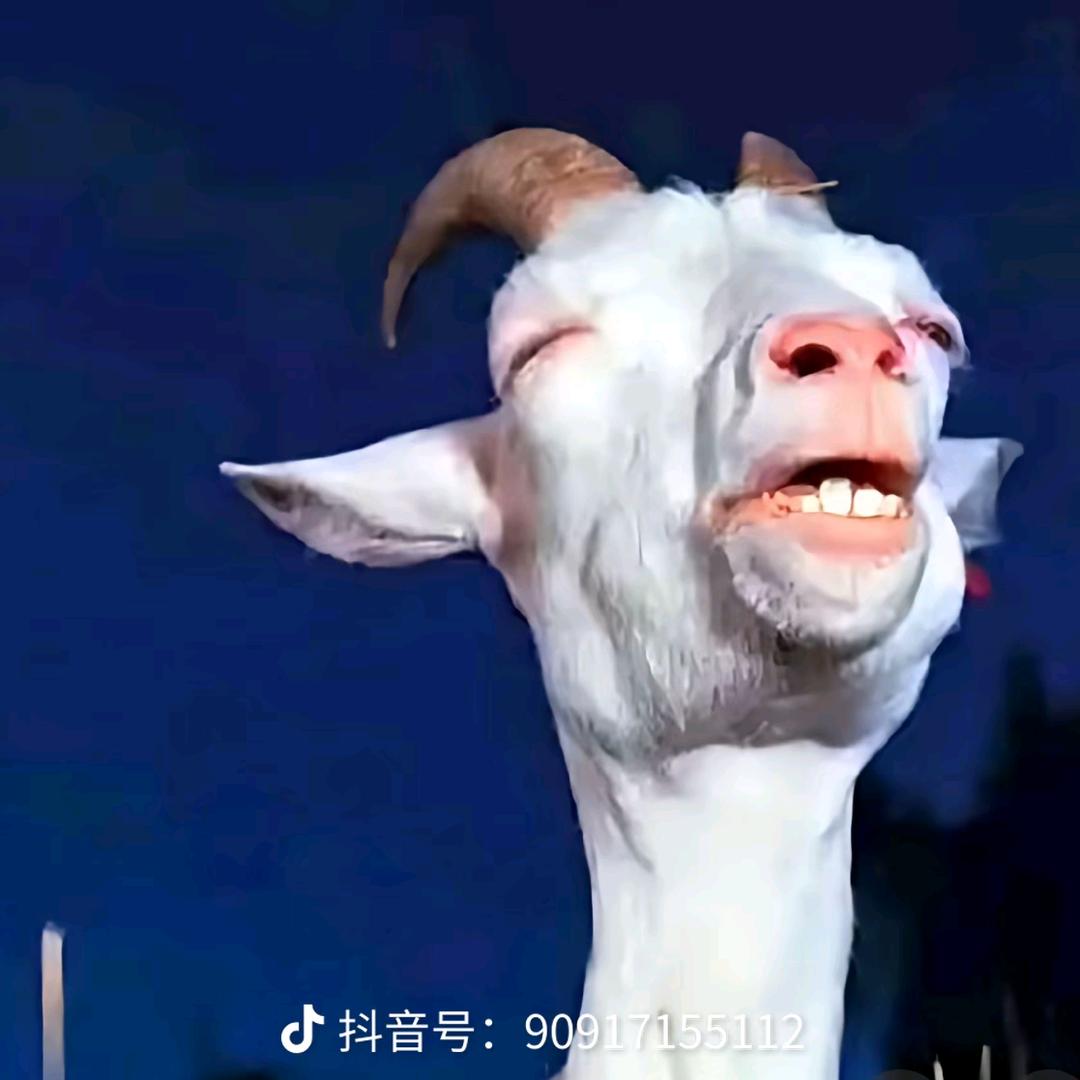 倾盆大点雨
