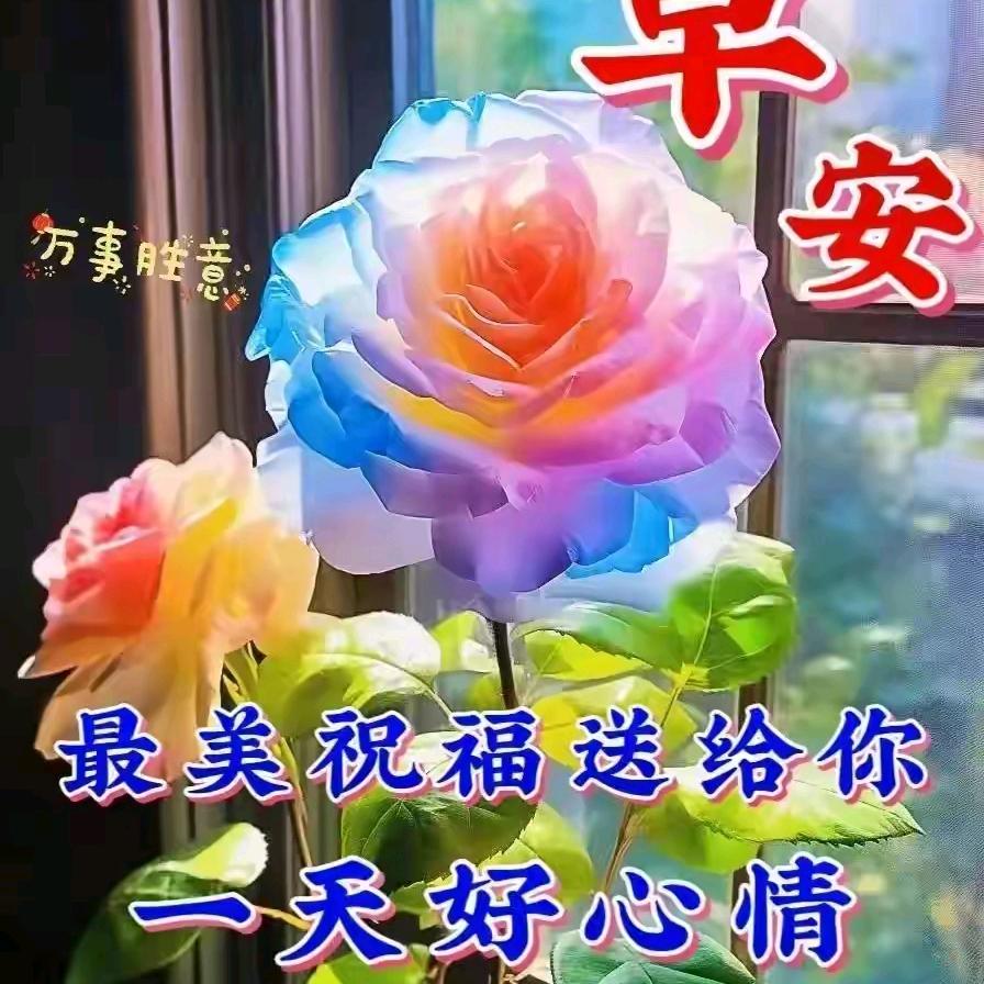 花开满园香