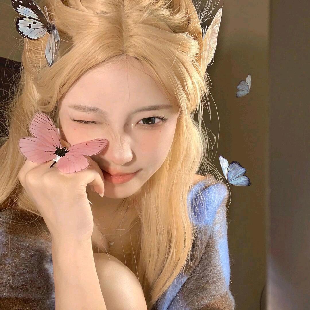 动漫小说