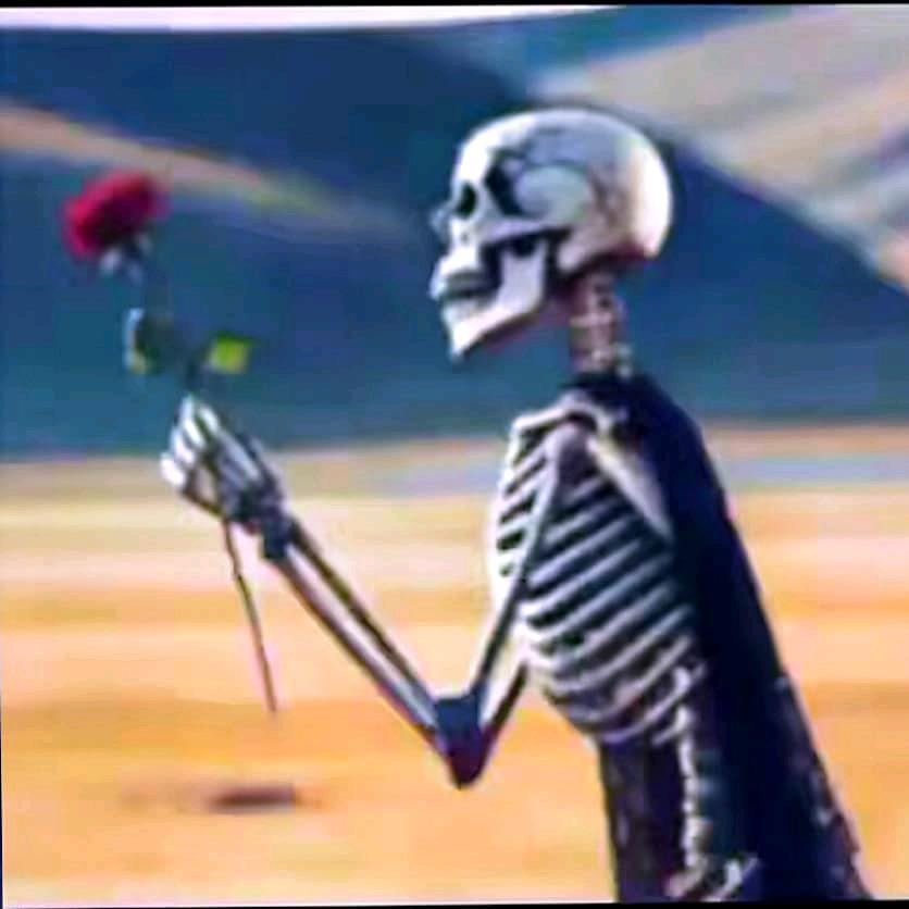 走一步·算一步