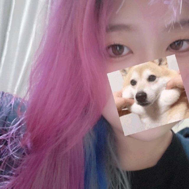 玫瑰一片 山高鹭沅
