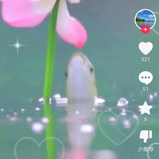 开心快乐每一天
