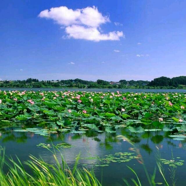 温暖的初夏