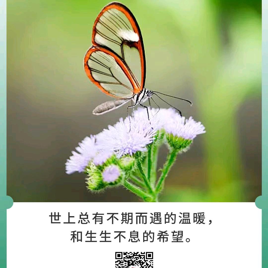 传鼎规划李老师