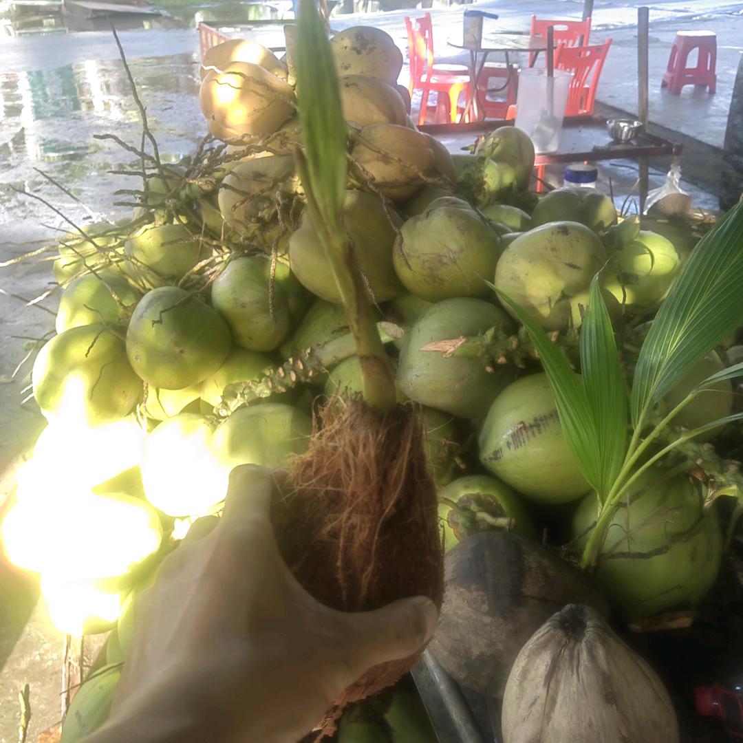 时光一过半