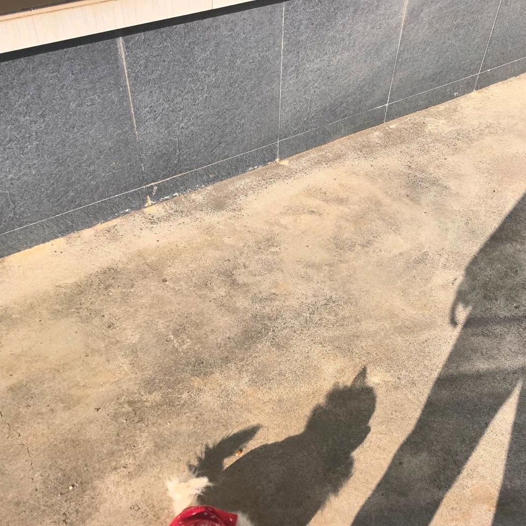 是那个小徐呀~🍃