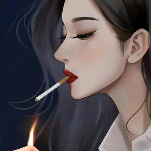 蔷薇花开