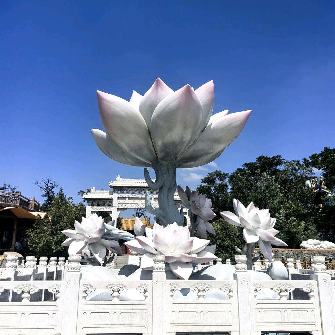 菲菲的店🏘