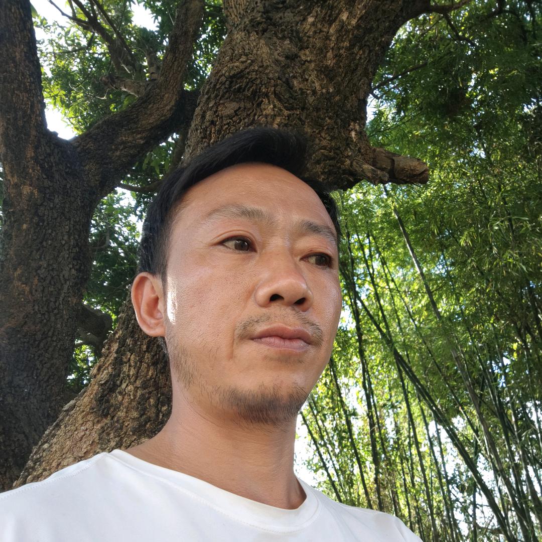 一切靠努力1528672535