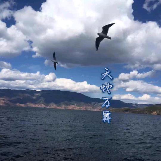 天地万舞