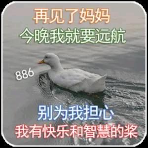 18岁病娇男大爱上我