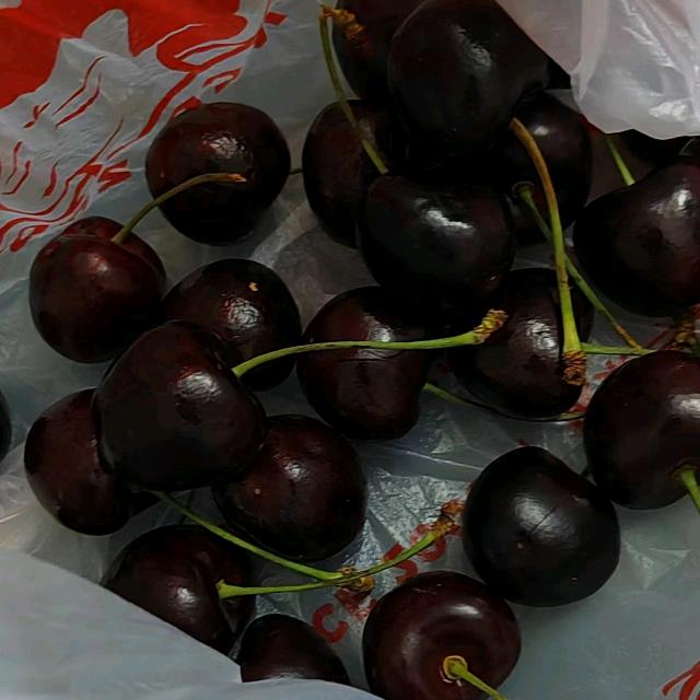 520，林少(´•ω•̥`)