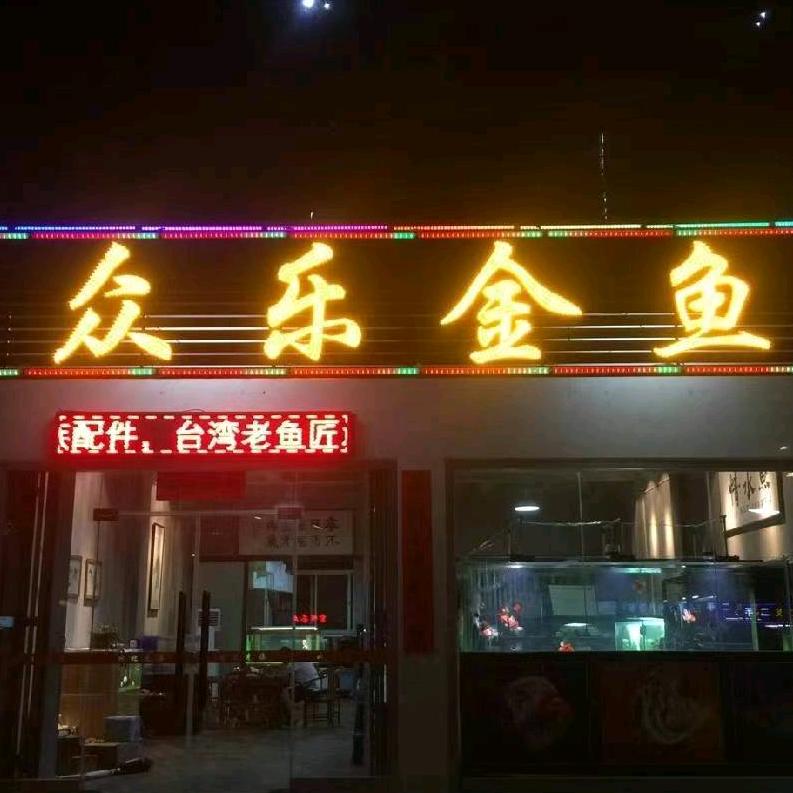 众乐金鱼