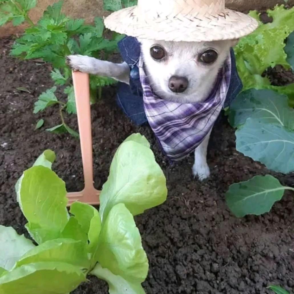 我从不反驳。