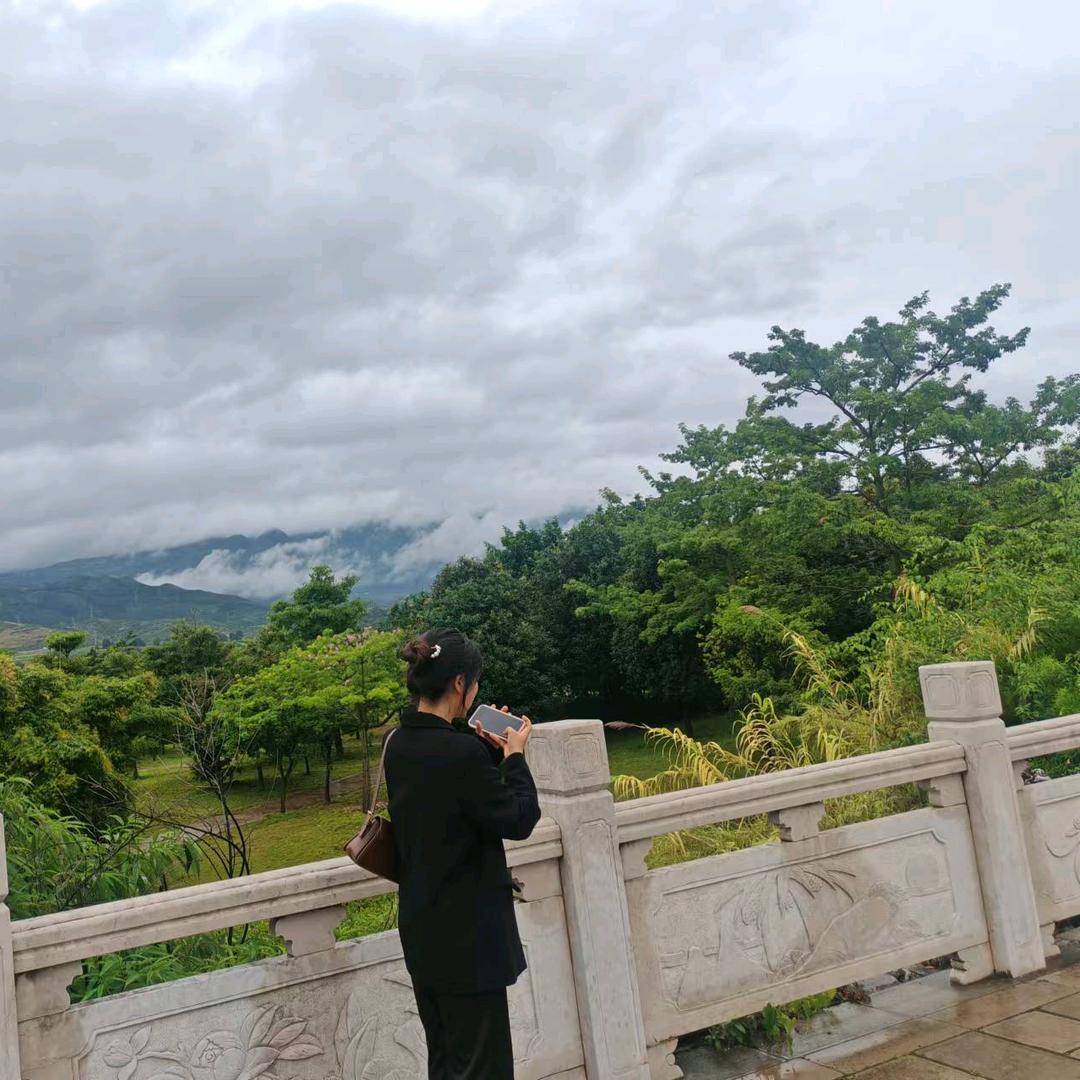 🦄啊诺呀~