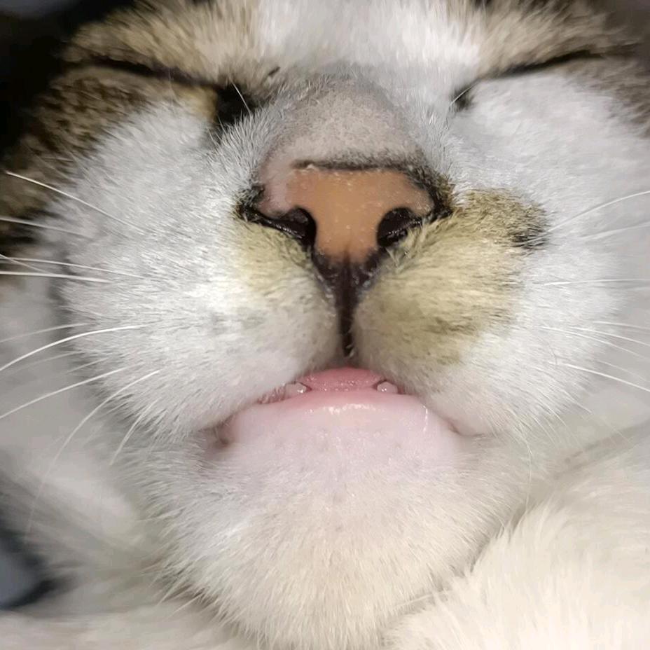 梁冰冰（听障）