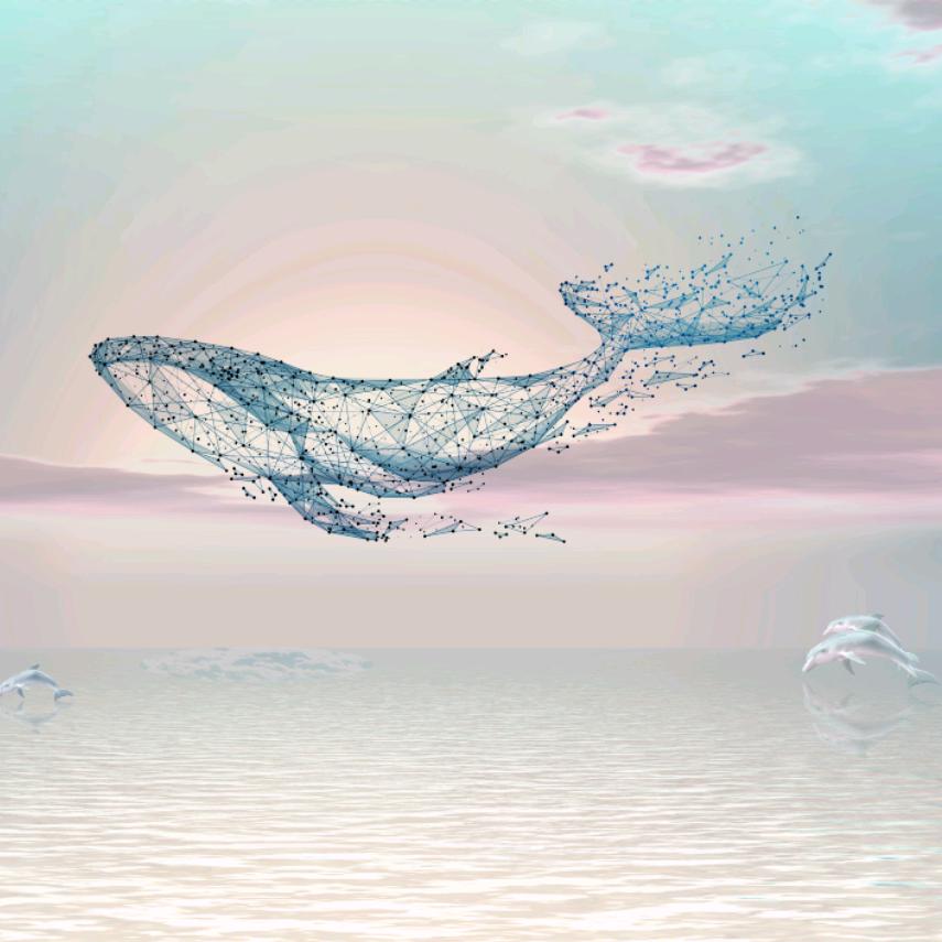 小鱼精选好物推荐