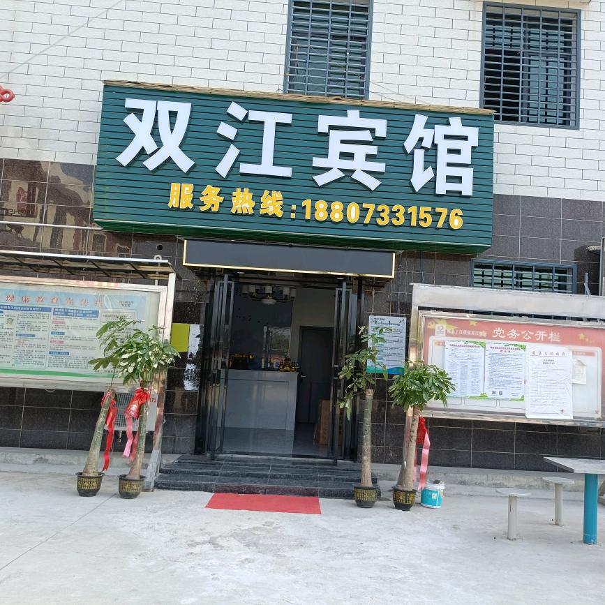 高产嫁接油茶苗