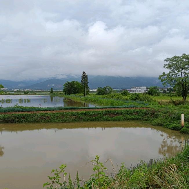 风雨同行