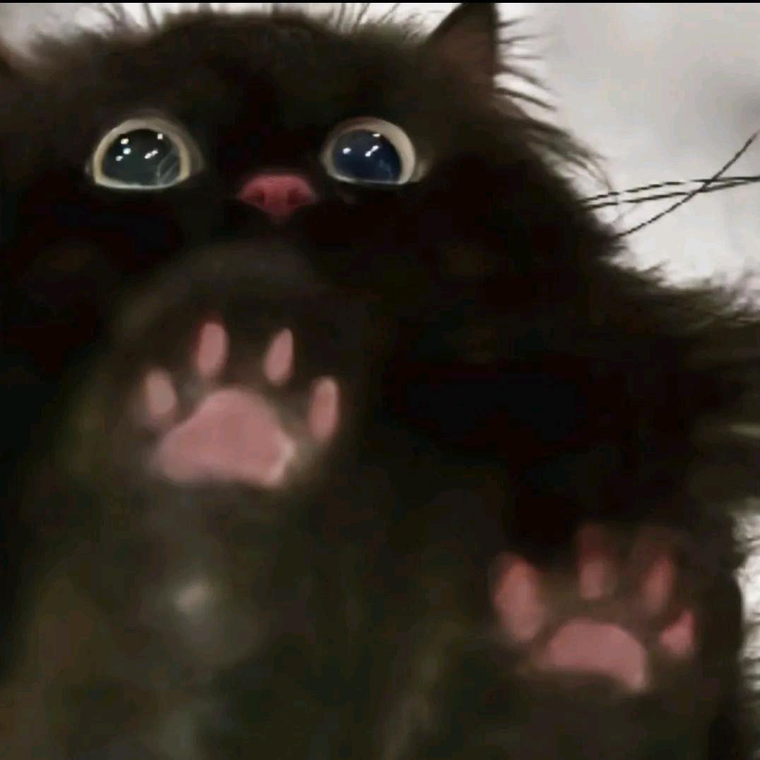 •ิ_• ิ