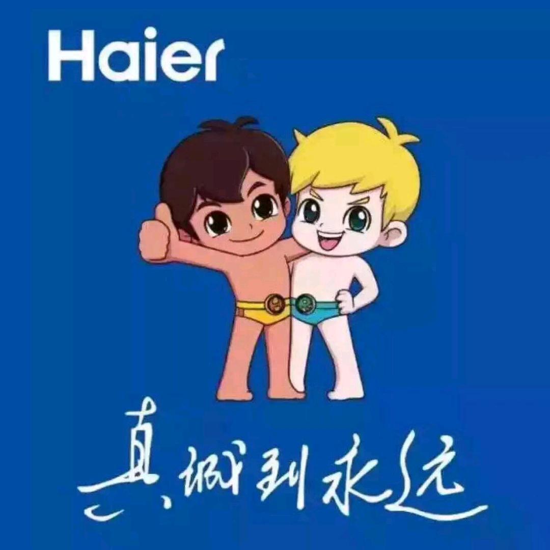 蓝田县胡亮家电经销部