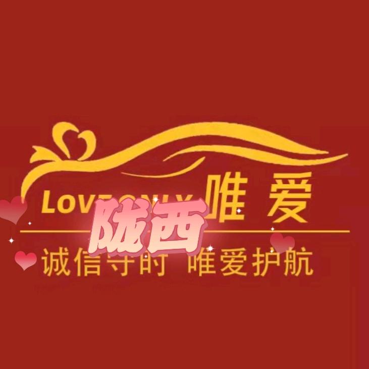 陇西唯爱婚礼车队