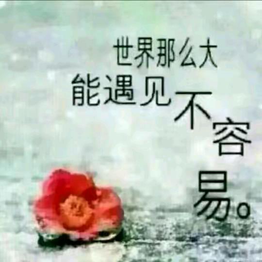 。@🌸让心归零💞