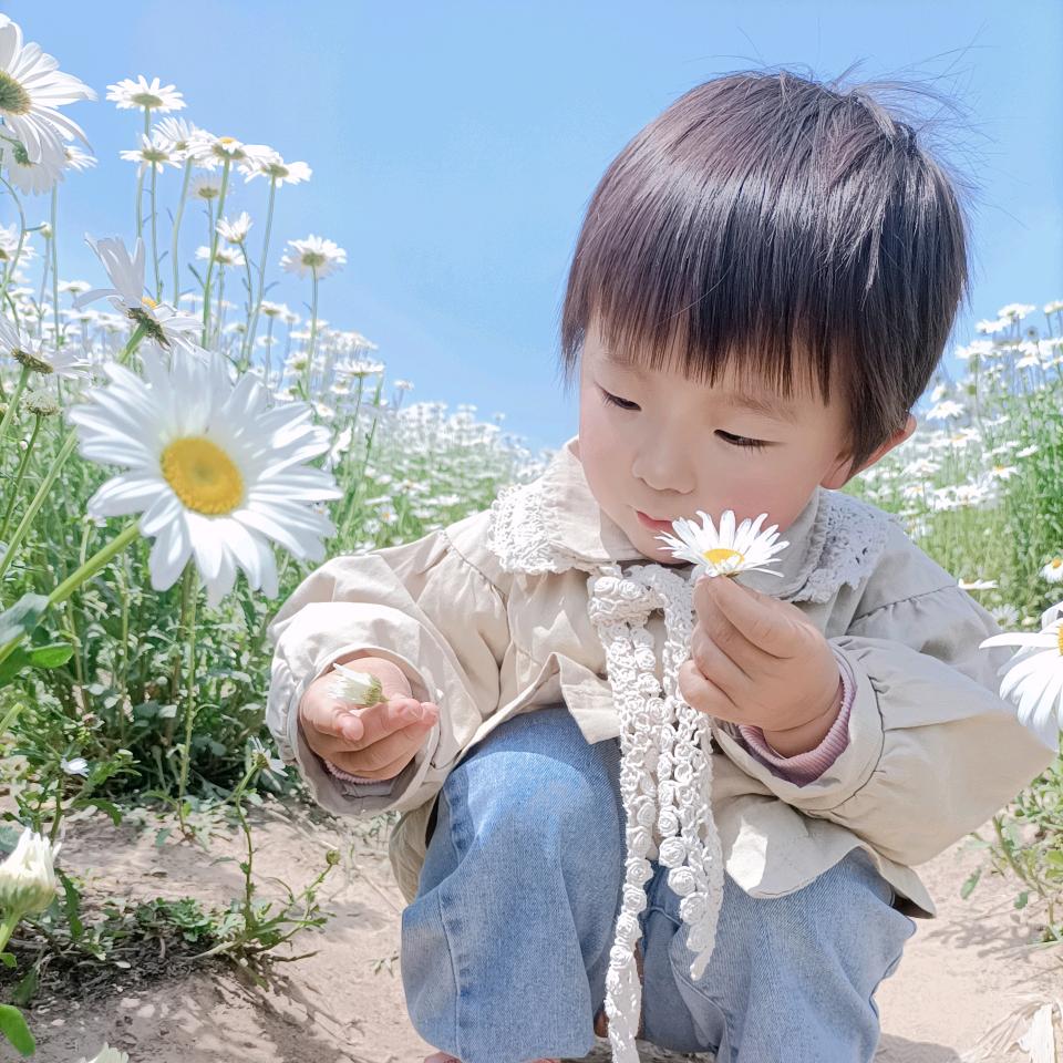 杨楠🐏