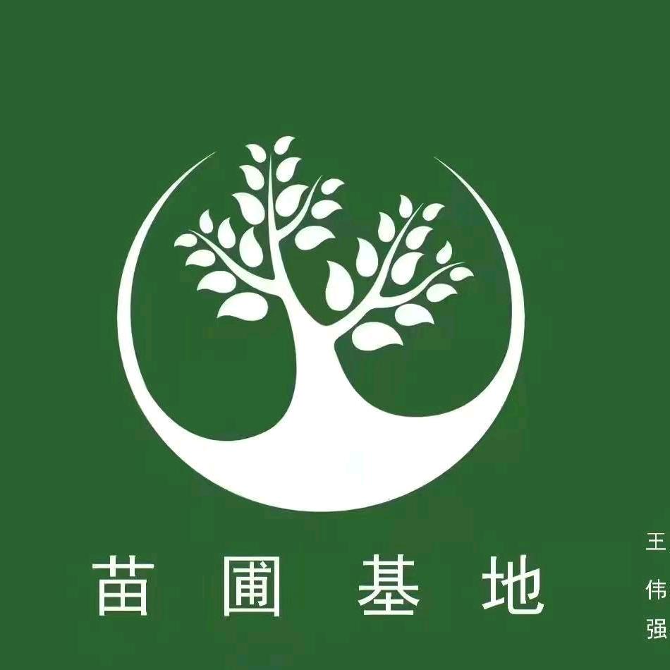 保定王伟强（园林绿化）