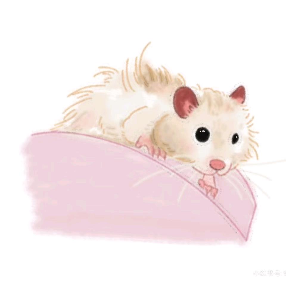 小小◇