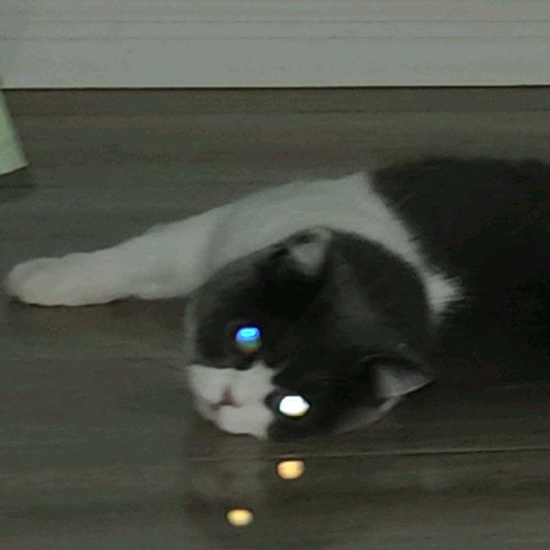 一个青年全部的胆怯