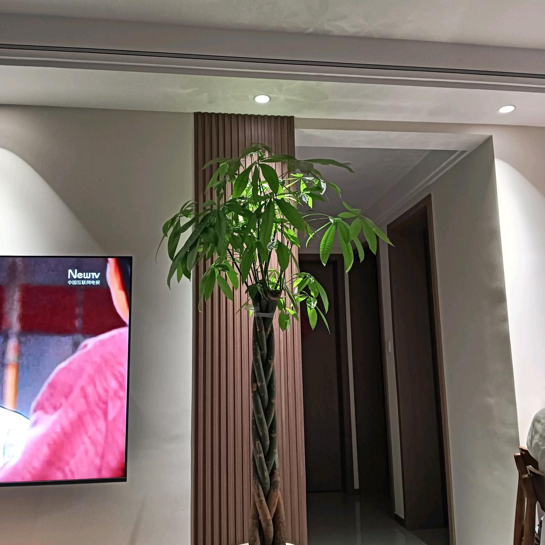 小张