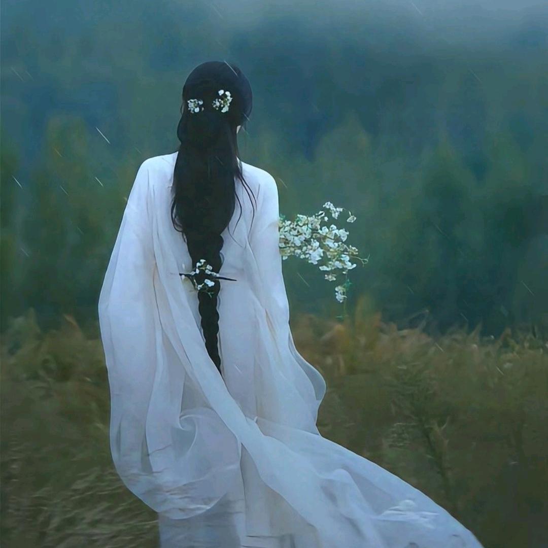 🍃葬心