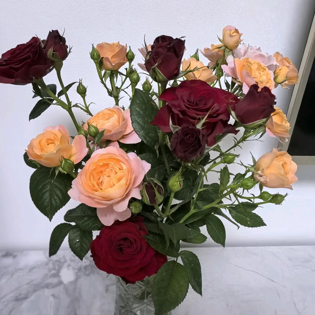芳阿姨💞🌹