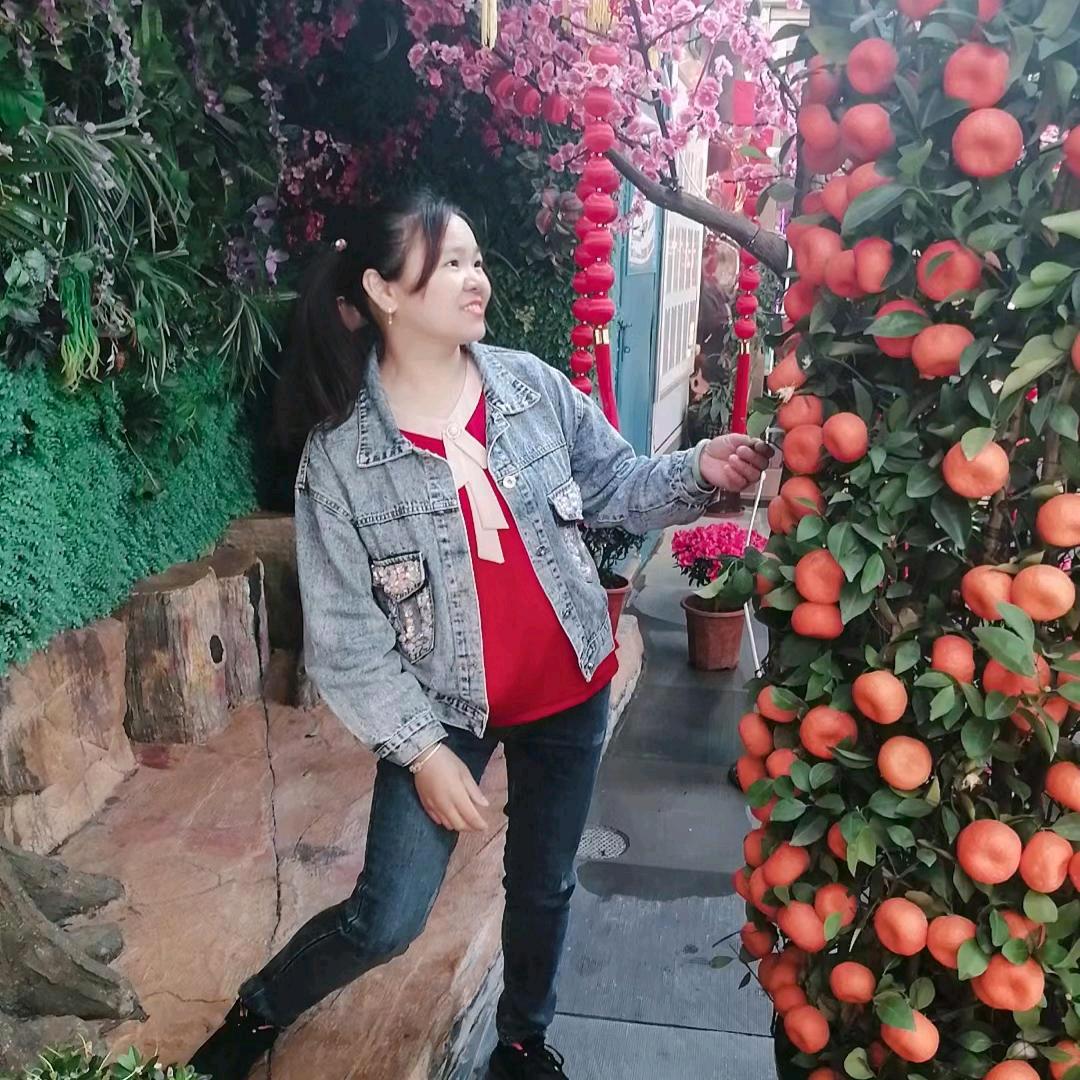 飞得更高的小燕子