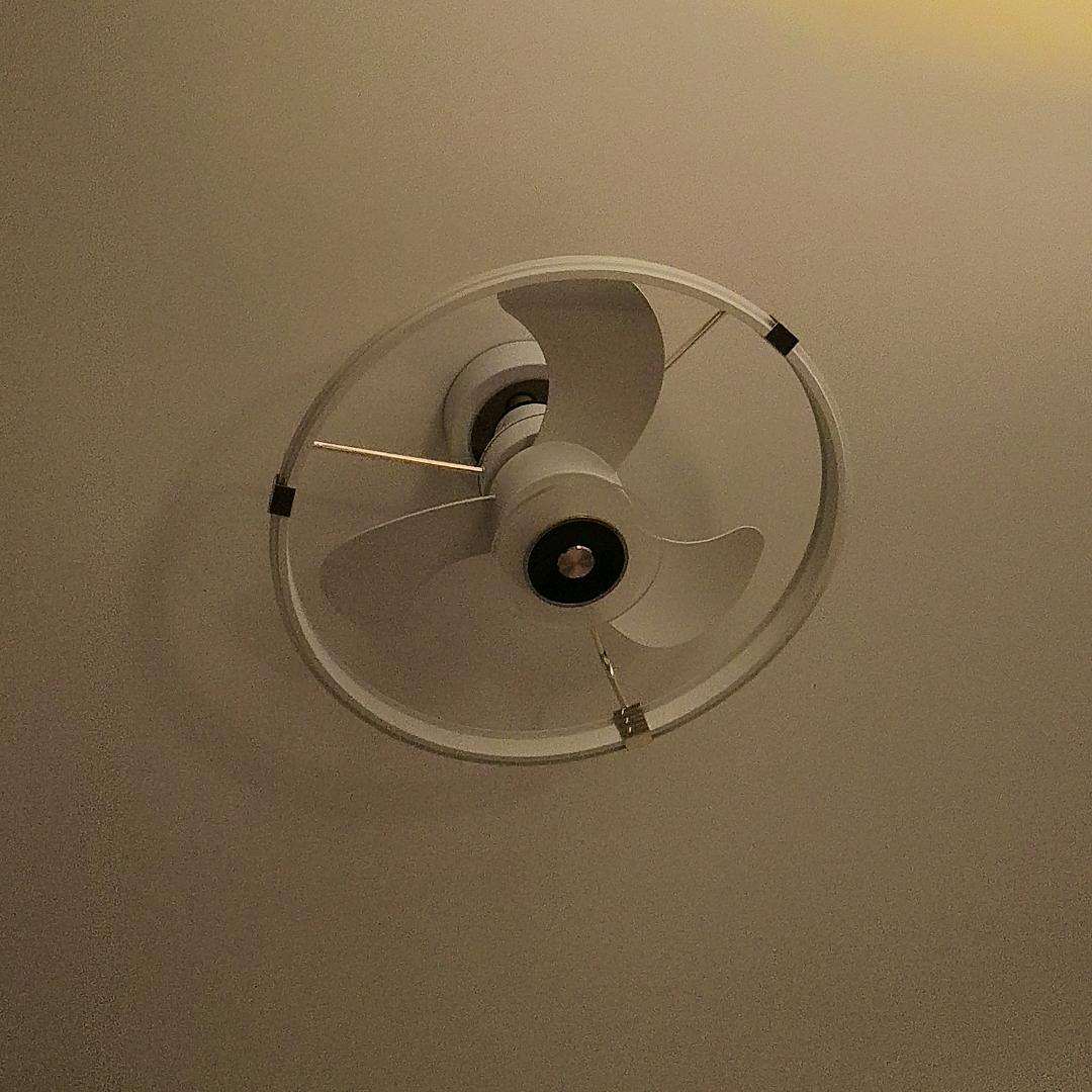 家庭煮夫