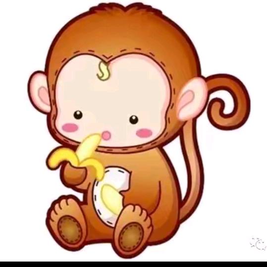 感谢老铁送来的火箭🚀º🍟⭐🌈