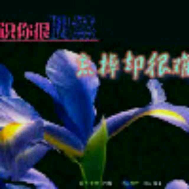 小赵
