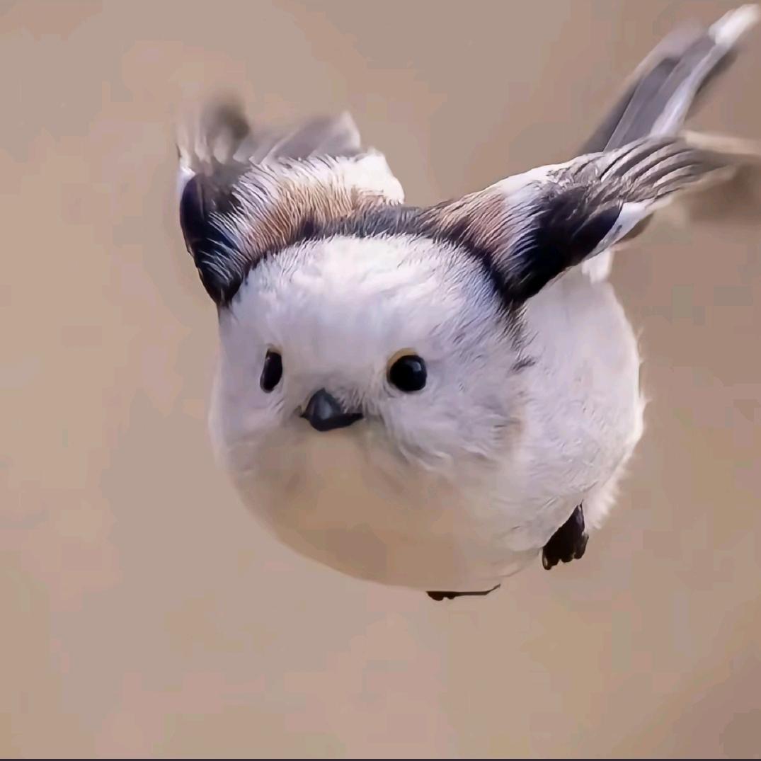 小李同学⁶