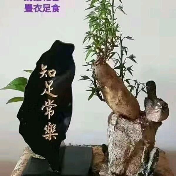 阿鎏