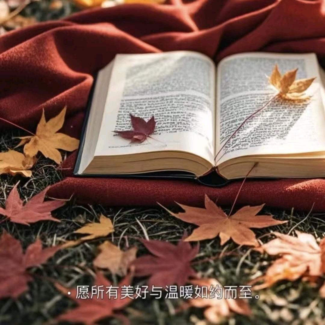 俊俊妈👩