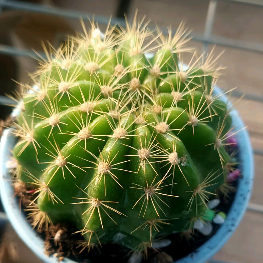 富二代的头像