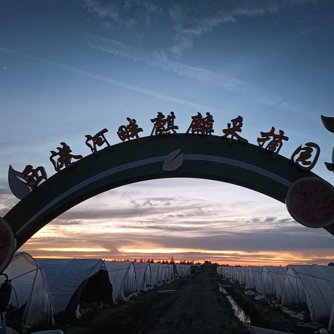 苏家有女随母姓刘