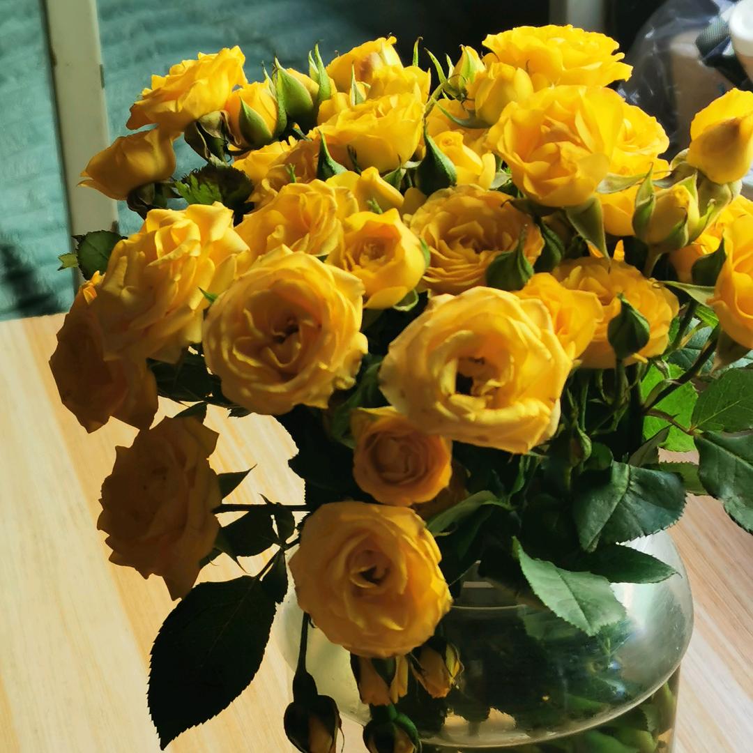 看透人生，幸福一生