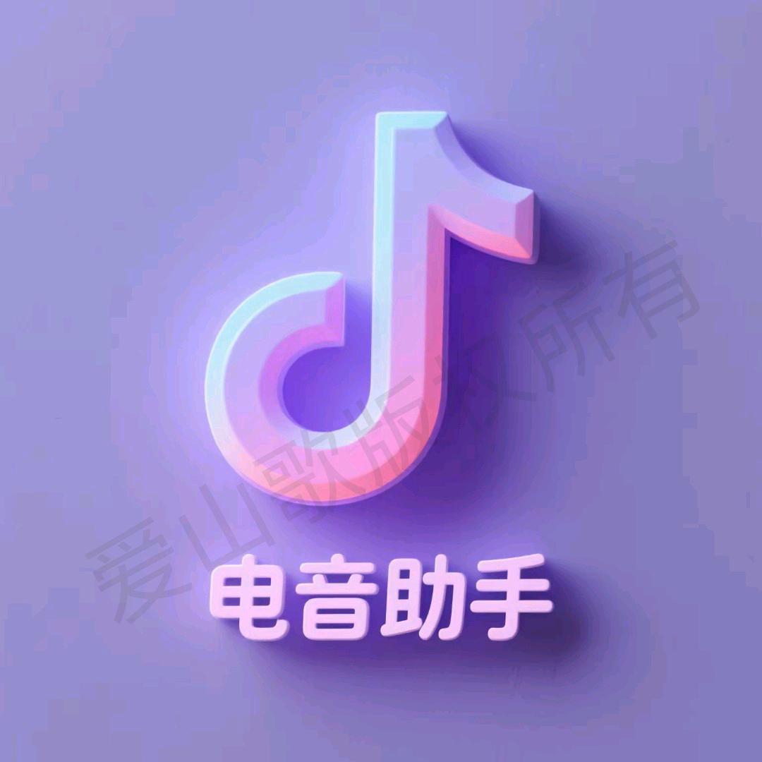 电音助手