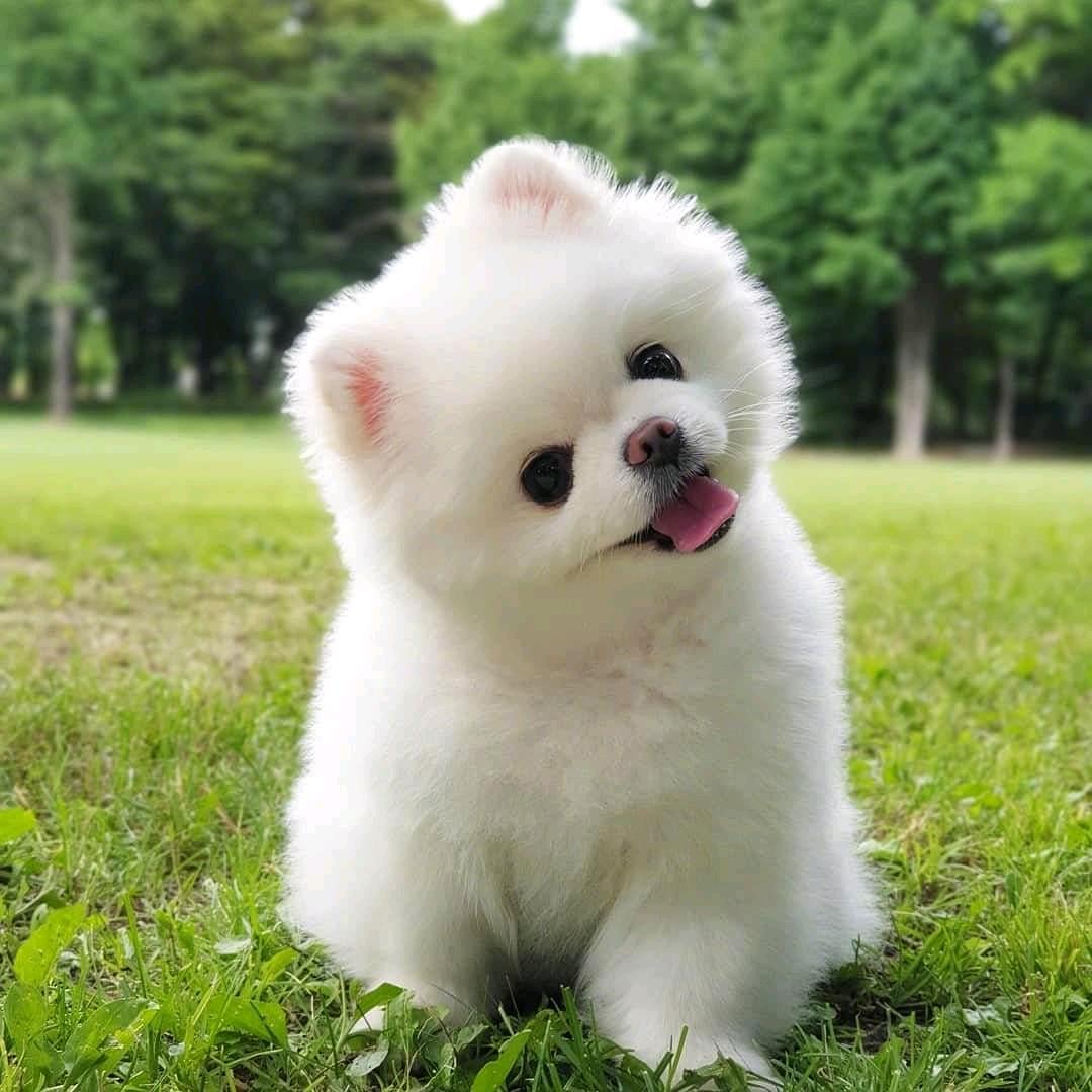 哦哦哦摸摸