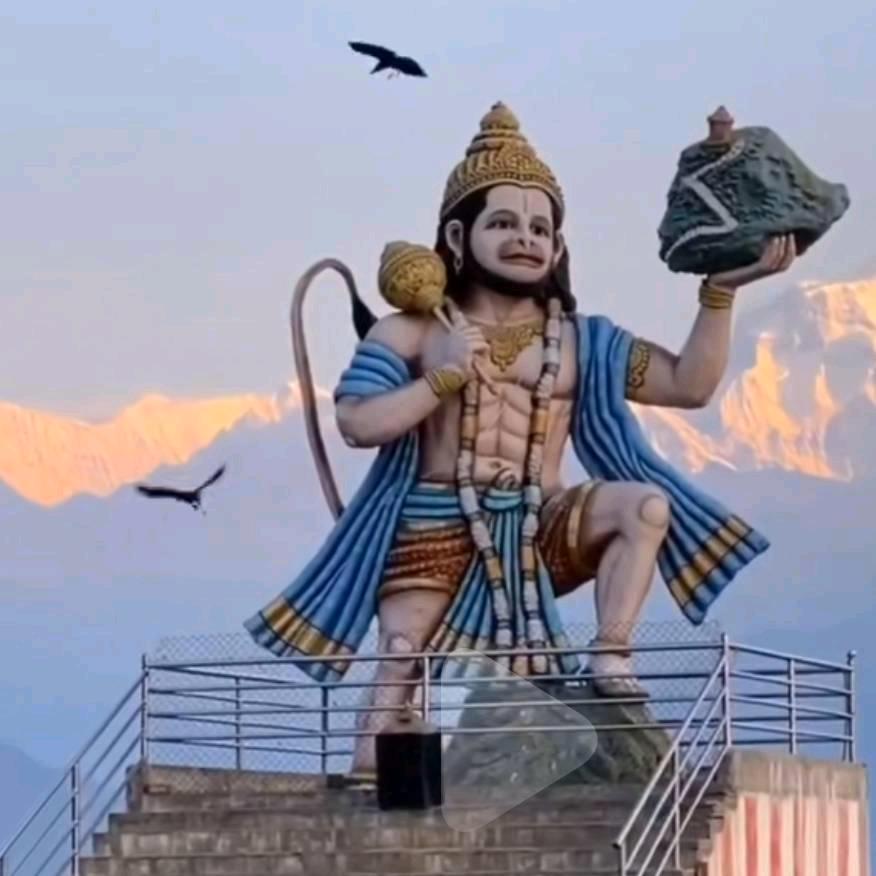 👏任💘逍💓遥✨